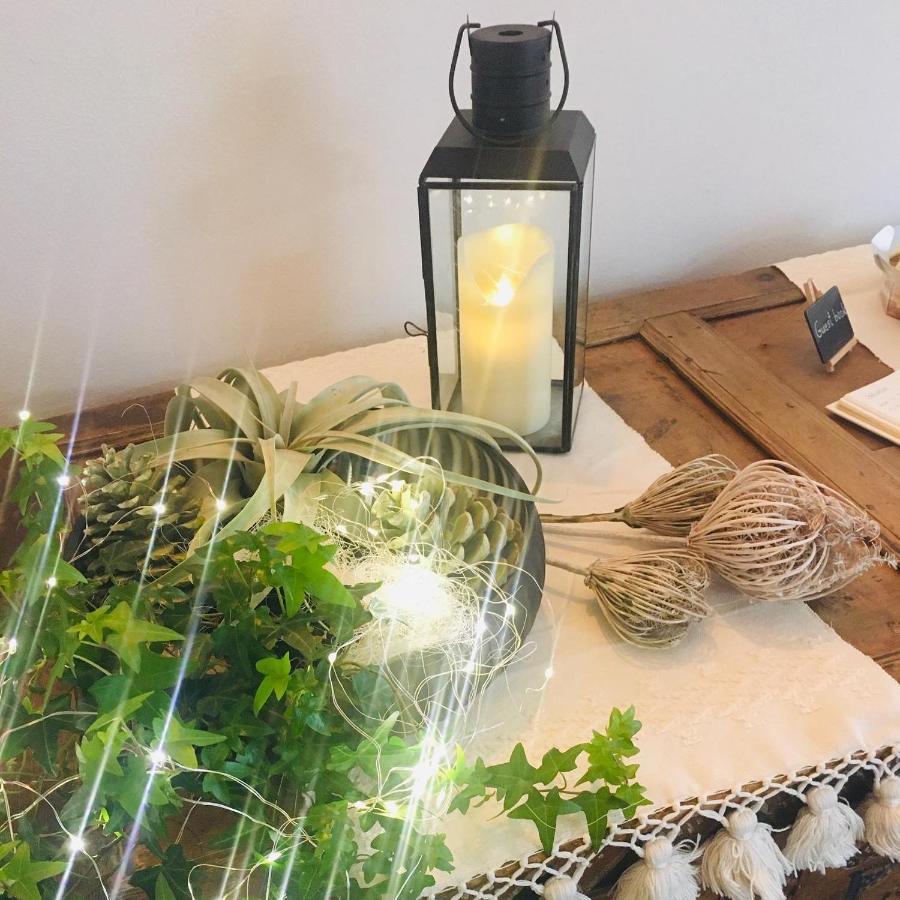 Natura Boutique Chalet Wellness Spa 多比亚科 外观 照片